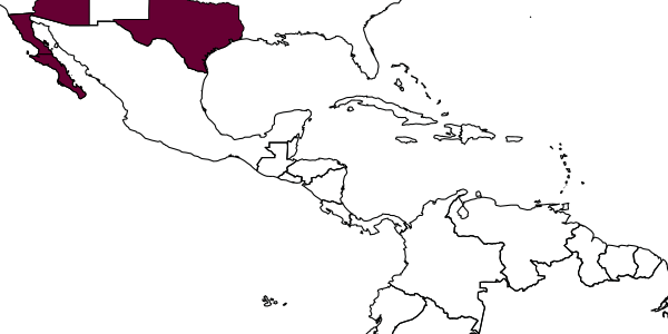 map of Clistopyga californica     Khalaim & Hernández, 2008